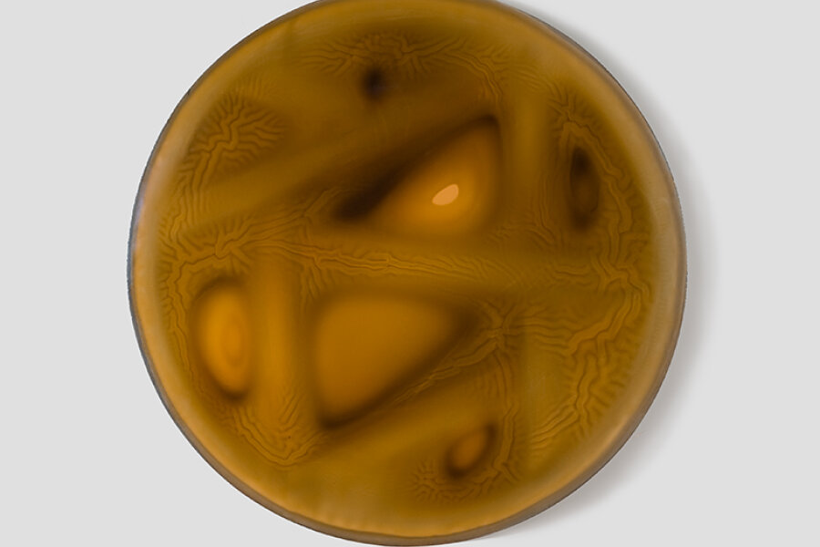 Bez názvu, 2014, lak, barviva, pigmenty na plátně, průměr 150 cm